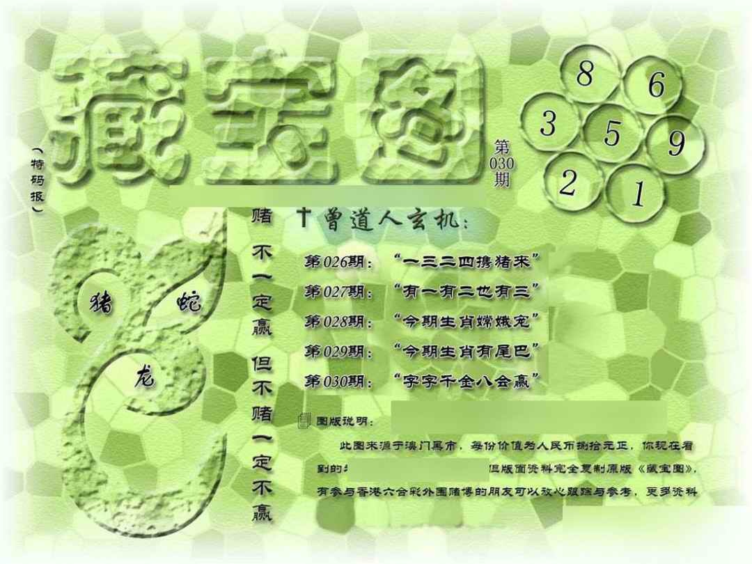 030期假新藏宝图[图]